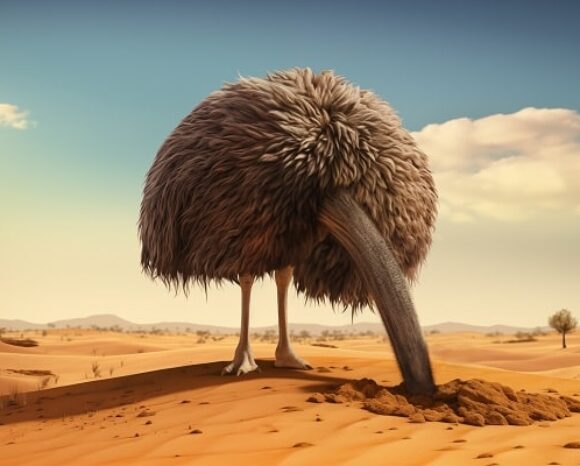 Strauß steckt Kopf in den Sand