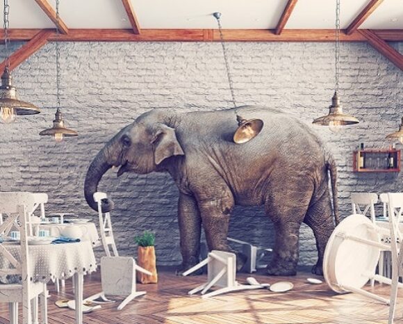 Elefant im Porzellanladen