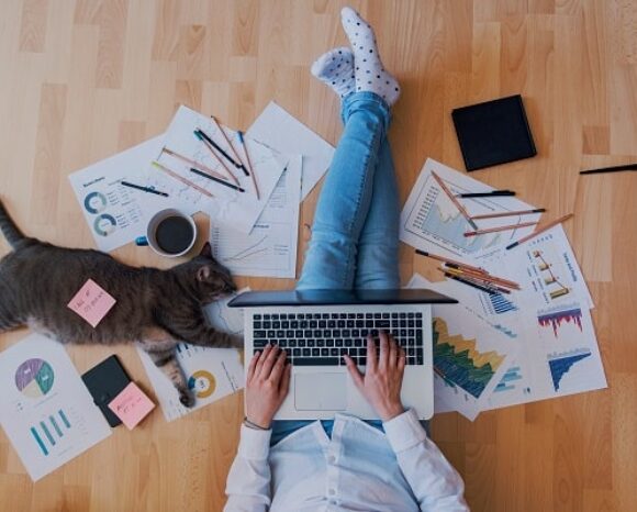 Homeoffice mit Katze