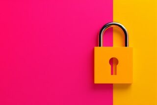 Datenschutz von Personaldaten, SAP HCM