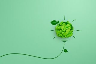 grüne Glühbirne symbolisiert Green HR