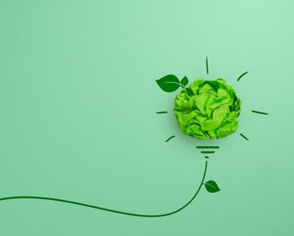 grüne Glühbirne symbolisiert Green HR