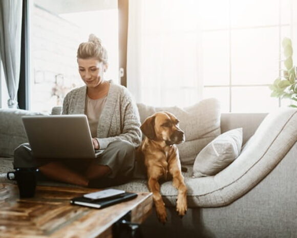 Frau mit Hund neben sich arbeitet auf dem Sofa im Homeoffice am Laptop